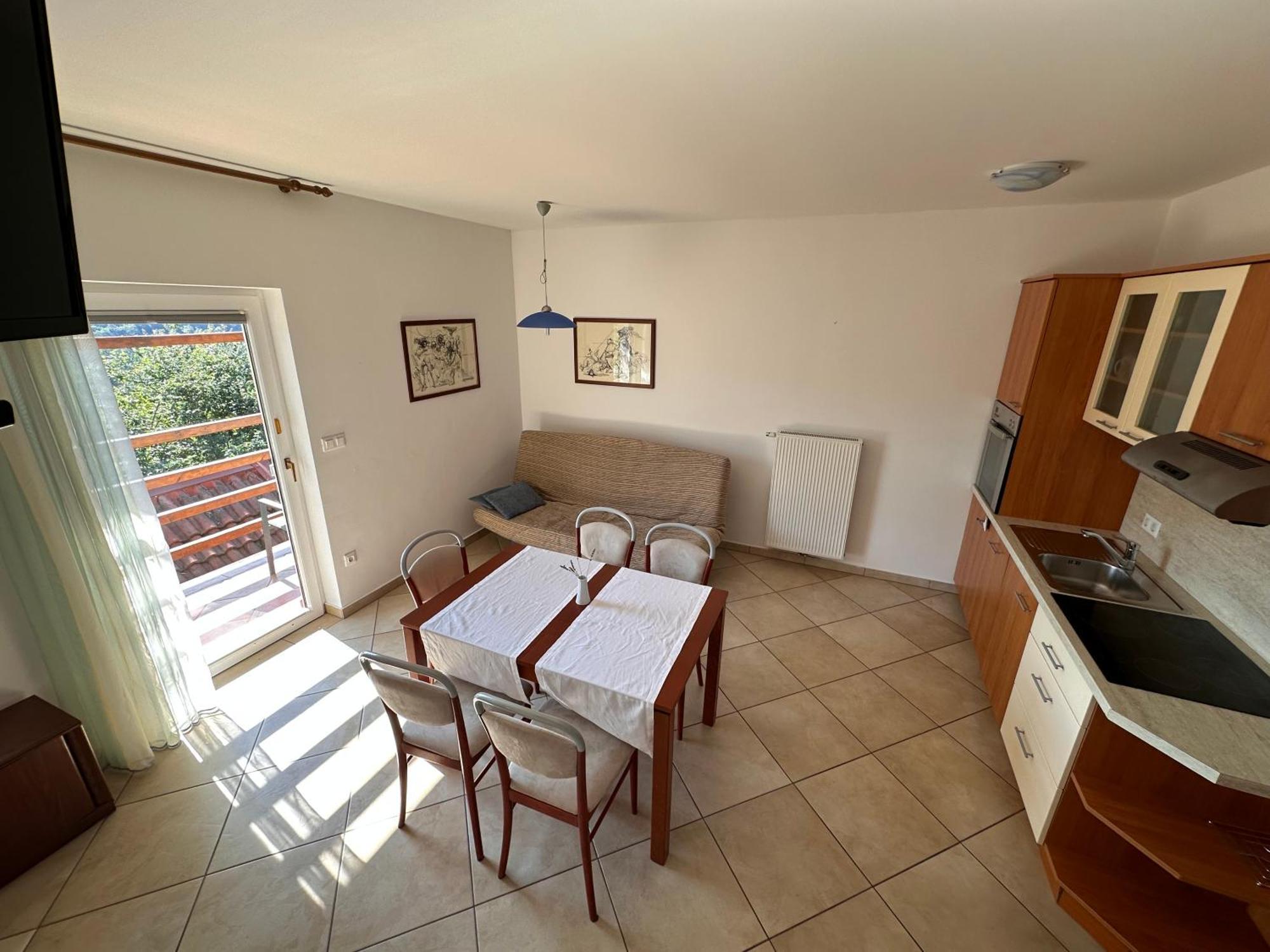 Apartments Suster Stari Trg ob Kolpi Kültér fotó