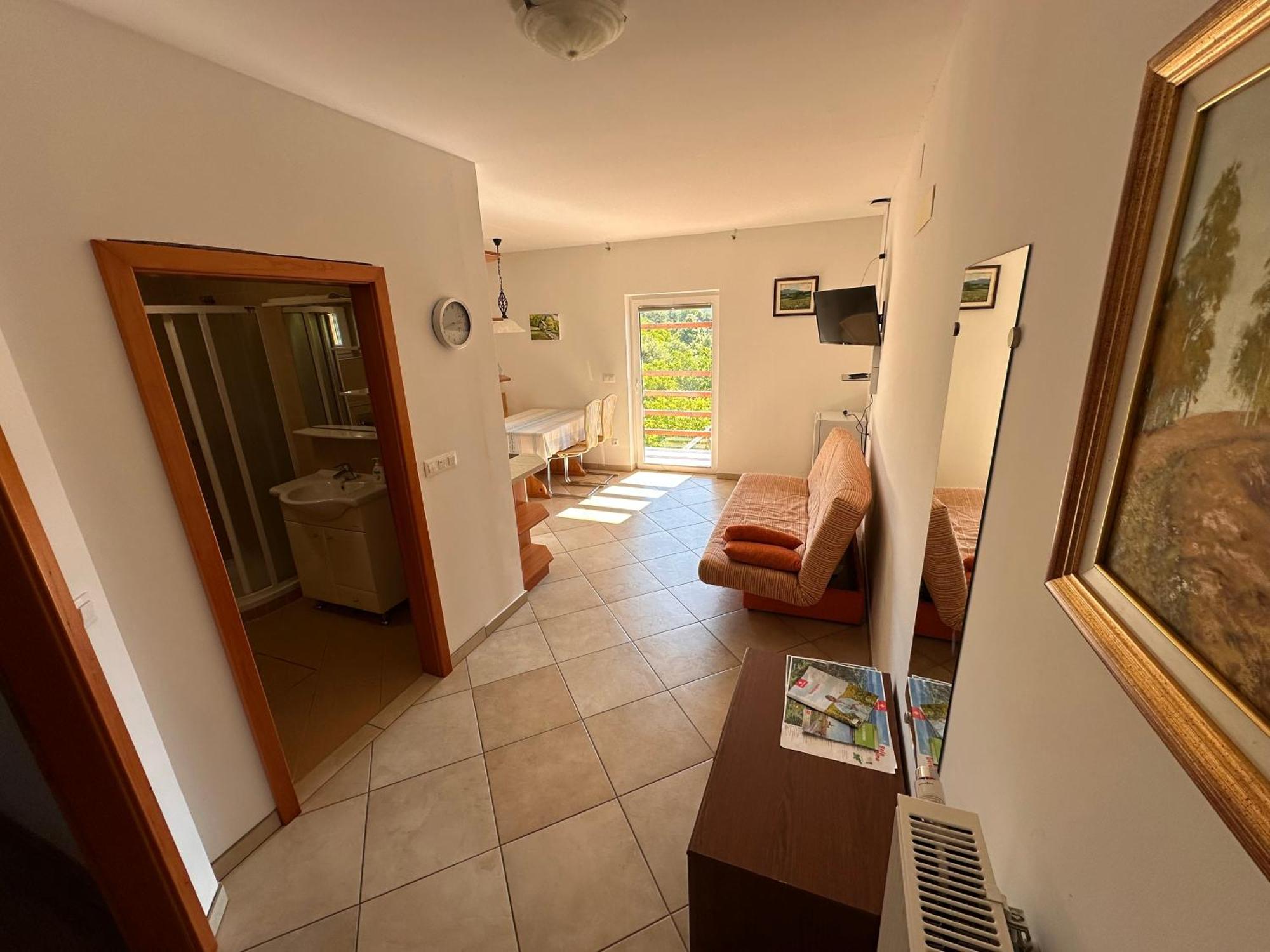 Apartments Suster Stari Trg ob Kolpi Kültér fotó